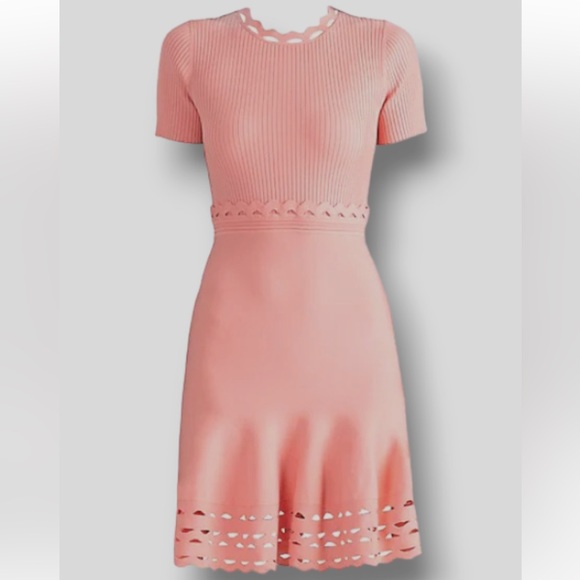 Shoshanna Gemma Rib Rack Knit Mini Dress - Picture 13 of 14